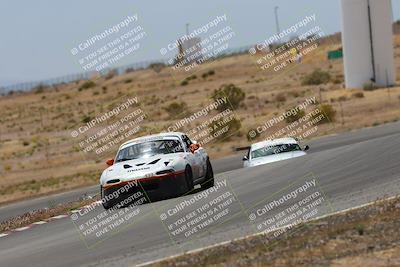 media/May-03-2025-Lucky Dog Racing (Sat) [[206de64b9d]]/Turn 6 (150pm-230pm)/